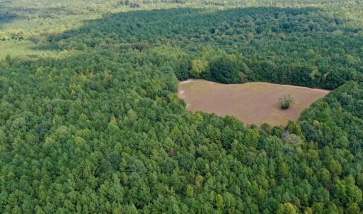 Photo #9 of SOLD property in Off Peter Stallings Road, Macon, NC 187.0 acres