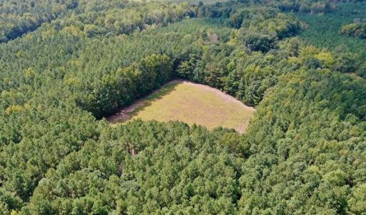 Photo #11 of SOLD property in Off Peter Stallings Road, Macon, NC 187.0 acres