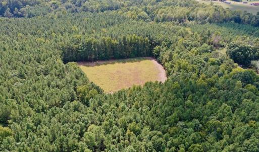 Photo #12 of SOLD property in Off Peter Stallings Road, Macon, NC 187.0 acres