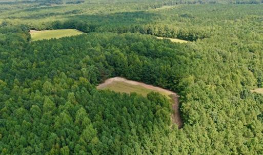 Photo #13 of SOLD property in Off Peter Stallings Road, Macon, NC 187.0 acres