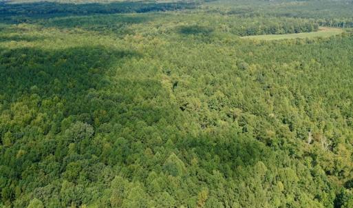 Photo #17 of SOLD property in Off Peter Stallings Road, Macon, NC 187.0 acres