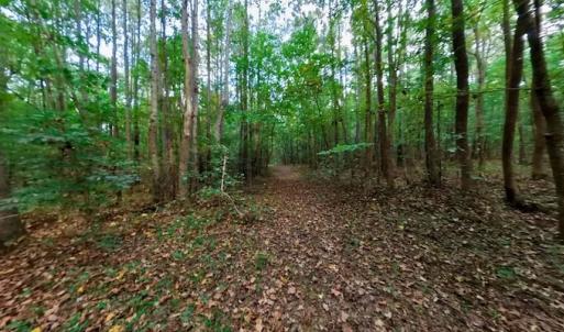Photo #45 of SOLD property in Off Peter Stallings Road, Macon, NC 187.0 acres