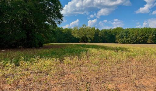 Photo #30 of SOLD property in Off Peter Stallings Road, Macon, NC 187.0 acres
