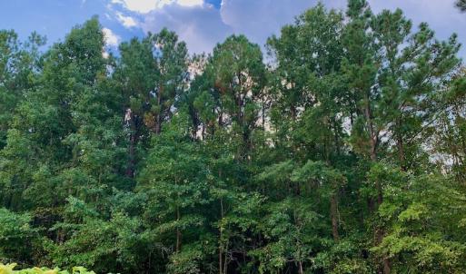 Photo #35 of SOLD property in Off Peter Stallings Road, Macon, NC 187.0 acres