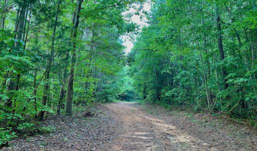 Photo #36 of SOLD property in Off Peter Stallings Road, Macon, NC 187.0 acres