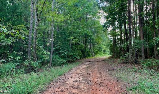 Photo #37 of SOLD property in Off Peter Stallings Road, Macon, NC 187.0 acres