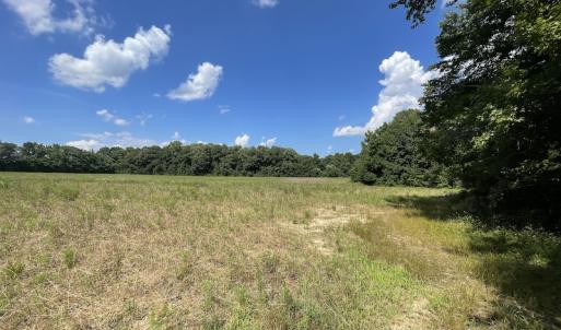 Photo #30 of SOLD property in Off Sunken Meadow Road, Spring Grove, VA 678.6 acres