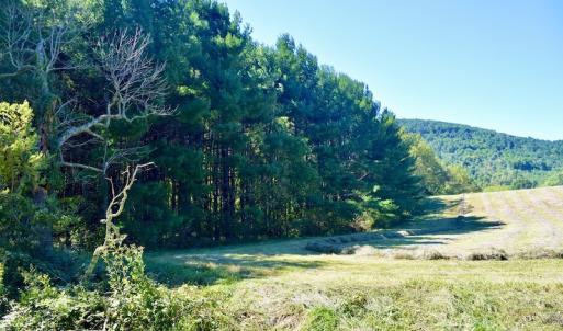 Photo #22 of SOLD property in Off Sheep Creek Road, Bedford, VA 8.0 acres