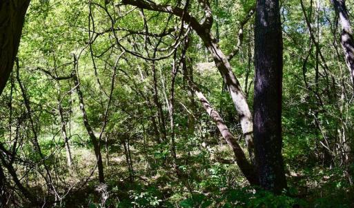 Photo #30 of SOLD property in Off Sheep Creek Road, Bedford, VA 8.0 acres