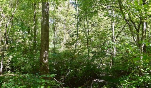 Photo #41 of SOLD property in Off Sheep Creek Road, Bedford, VA 8.0 acres