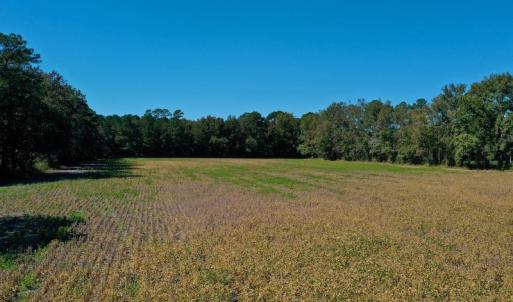 Photo #14 of SOLD property in Off Levi Drive, Ayden, NC 7.0 acres