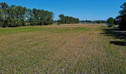 Photo #15 of SOLD property in Off Levi Drive, Ayden, NC 7.0 acres