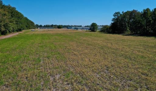 Photo #16 of SOLD property in Off Levi Drive, Ayden, NC 7.0 acres