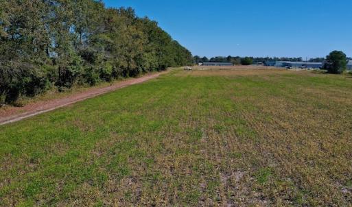 Photo #17 of SOLD property in Off Levi Drive, Ayden, NC 7.0 acres