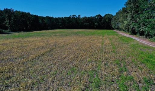 Photo #18 of SOLD property in Off Levi Drive, Ayden, NC 7.0 acres