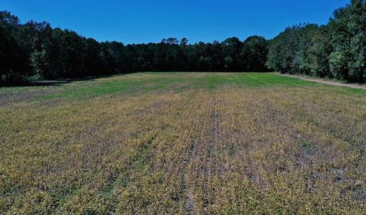 Photo #19 of SOLD property in Off Levi Drive, Ayden, NC 7.0 acres