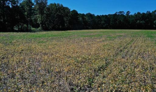 Photo #20 of SOLD property in Off Levi Drive, Ayden, NC 7.0 acres