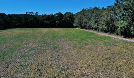 Photo #22 of SOLD property in Off Levi Drive, Ayden, NC 7.0 acres