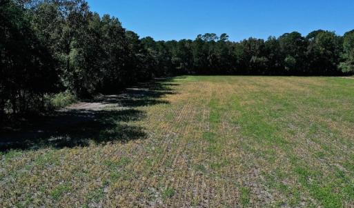 Photo #23 of SOLD property in Off Levi Drive, Ayden, NC 7.0 acres
