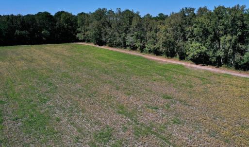 Photo #25 of SOLD property in Off Levi Drive, Ayden, NC 7.0 acres