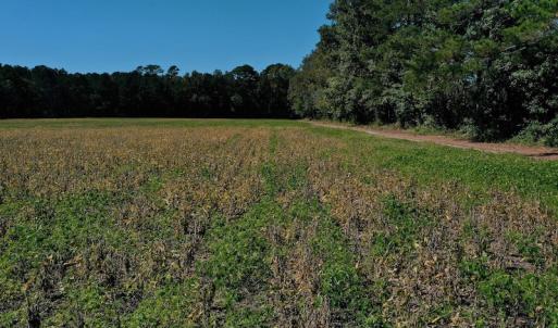 Photo #27 of SOLD property in Off Levi Drive, Ayden, NC 7.0 acres