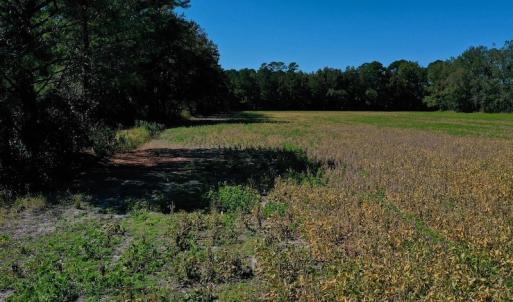 Photo #28 of SOLD property in Off Levi Drive, Ayden, NC 7.0 acres