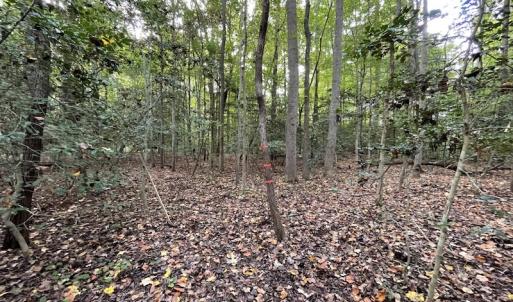 Photo #10 of SOLD property in Off Bethel Church Lane, Smithfield, VA 5.3 acres