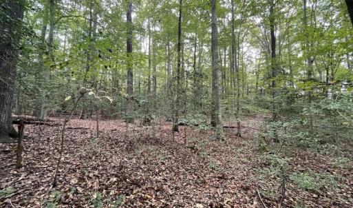 Photo #13 of SOLD property in Off Bethel Church Lane, Smithfield, VA 5.3 acres