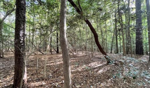 Photo #14 of SOLD property in Off Bethel Church Lane, Smithfield, VA 5.3 acres