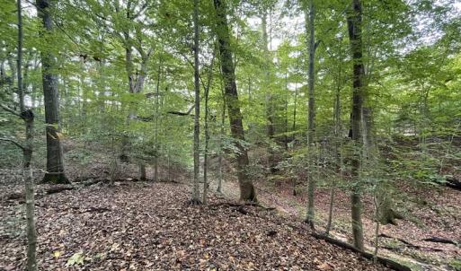 Photo #16 of SOLD property in Off Bethel Church Lane, Smithfield, VA 5.3 acres