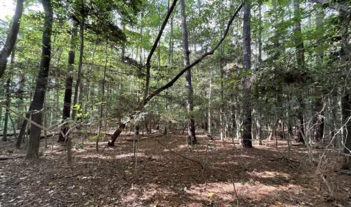 Photo #17 of SOLD property in Off Bethel Church Lane, Smithfield, VA 5.3 acres