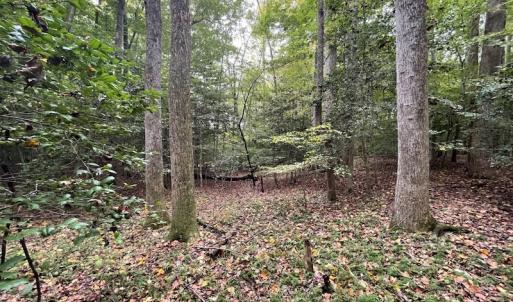 Photo #18 of SOLD property in Off Bethel Church Lane, Smithfield, VA 5.3 acres