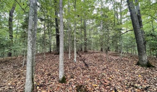 Photo #19 of SOLD property in Off Bethel Church Lane, Smithfield, VA 5.3 acres