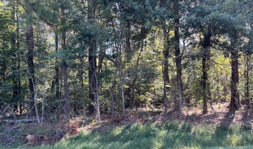 Photo #12 of SOLD property in Off Wilmington Highway, Orrum, NC 4.7 acres