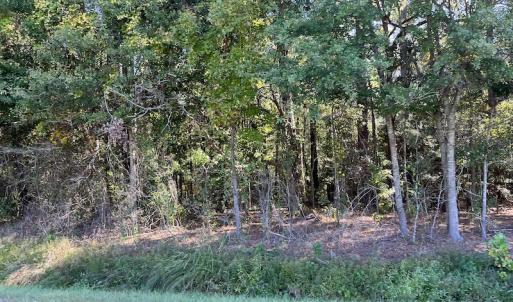 Photo #14 of SOLD property in Off Wilmington Highway, Orrum, NC 4.7 acres