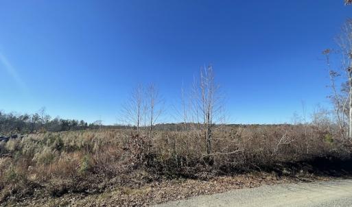 Photo #21 of SOLD property in Off Bunker Hill Road, Heathsville, VA 93.8 acres