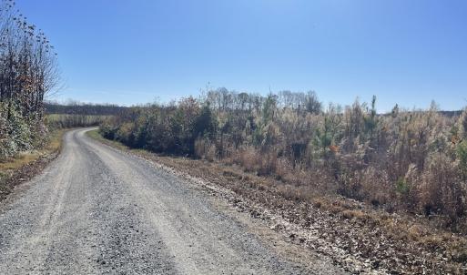 Photo #22 of SOLD property in Off Bunker Hill Road, Heathsville, VA 93.8 acres