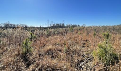 Photo #25 of SOLD property in Off Bunker Hill Road, Heathsville, VA 93.8 acres
