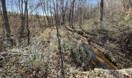 Photo #30 of SOLD property in Off Bunker Hill Road, Heathsville, VA 93.8 acres