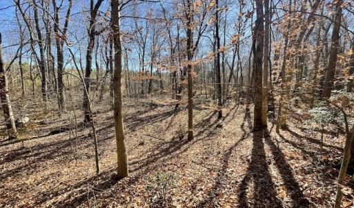 Photo #32 of SOLD property in Off Bunker Hill Road, Heathsville, VA 93.8 acres