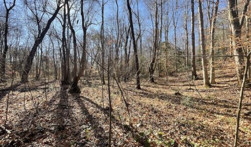 Photo #33 of SOLD property in Off Bunker Hill Road, Heathsville, VA 93.8 acres
