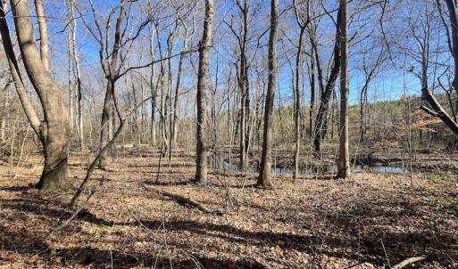 Photo #35 of SOLD property in Off Bunker Hill Road, Heathsville, VA 93.8 acres