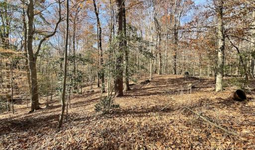 Photo #12 of SOLD property in Off Old Stage Highway, Smithfield, VA 11.4 acres