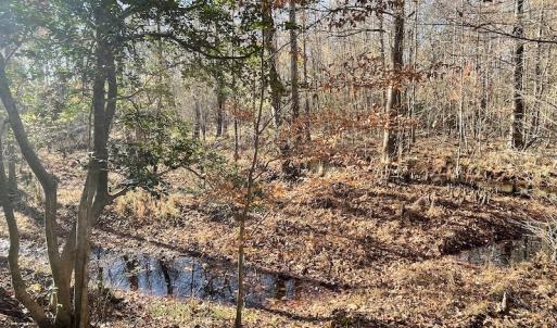 Photo #25 of SOLD property in Off Old Stage Highway, Smithfield, VA 11.4 acres