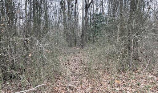 Photo #17 of SOLD property in Off Fortsville Rd, Drewryville, VA 74.0 acres