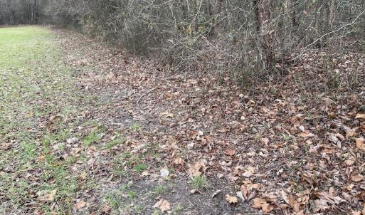 Photo #18 of SOLD property in Off Fortsville Rd, Drewryville, VA 74.0 acres