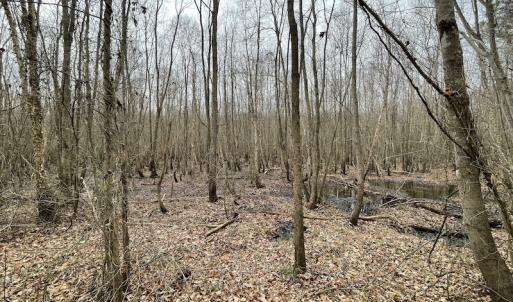 Photo #20 of SOLD property in Off Fortsville Rd, Drewryville, VA 74.0 acres