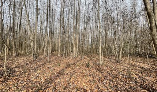 Photo #27 of SOLD property in Off Fortsville Rd, Drewryville, VA 74.0 acres