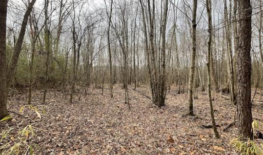 Photo #28 of SOLD property in Off Fortsville Rd, Drewryville, VA 74.0 acres
