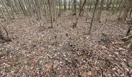Photo #33 of SOLD property in Off Fortsville Rd, Drewryville, VA 74.0 acres